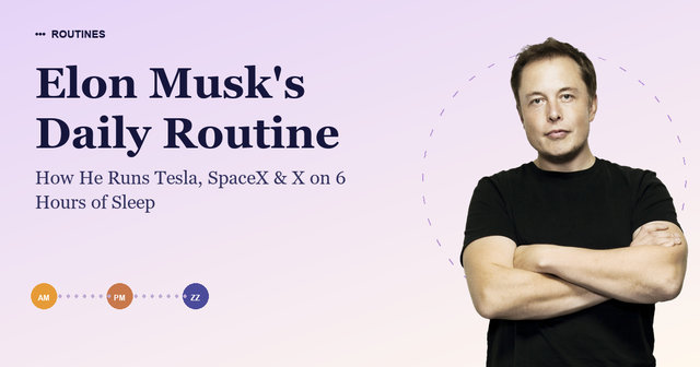 Elon Musk's Daily Routine